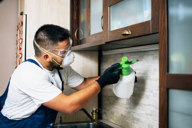 Best Flea Control Services  in Fredonia, KS