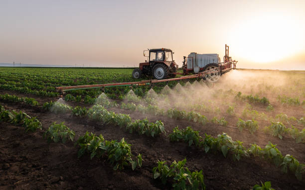  Fredonia, KS Pest Control Pros