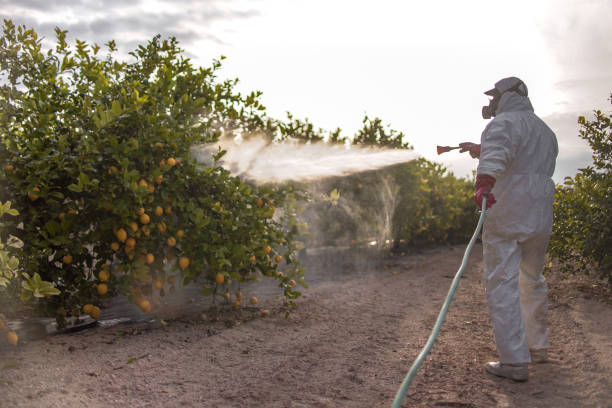 Best Cockroach Control Services  in Fredonia, KS