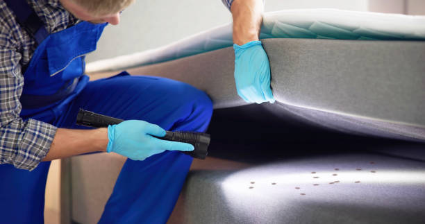 Flea Control Services in Fredonia, KS