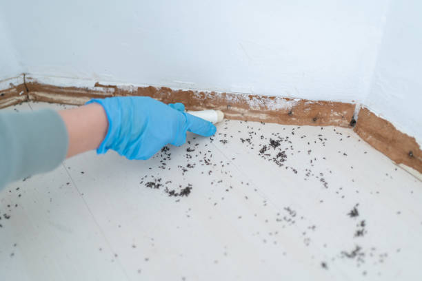 Best Wasp Removal Services  in Fredonia, KS